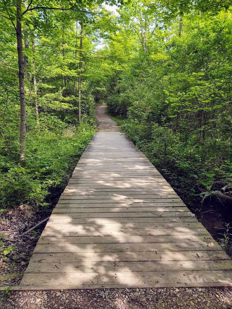 Beautiful Paved And Natural Walking Trails