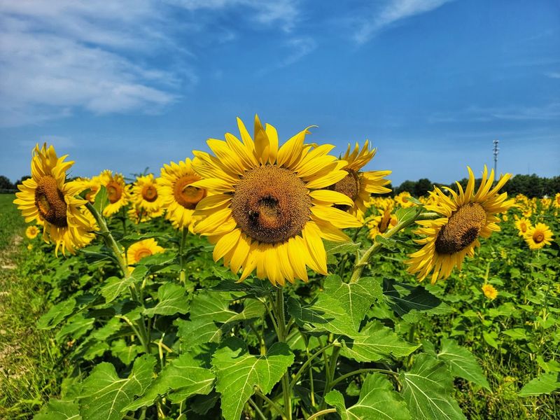 Before You Go: Simple Tips for a Smooth Visit