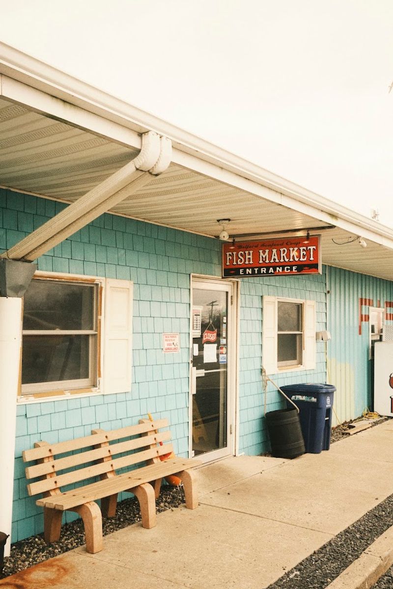 Belford Seafood Co-op / Pirate’s Cove - Belford / Port Monmouth
