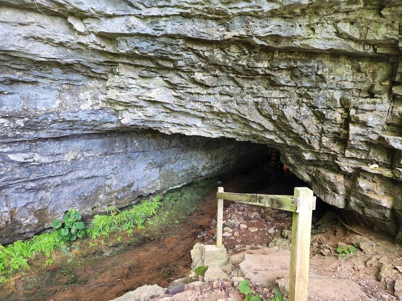 Bell Witch Cave — Adams
