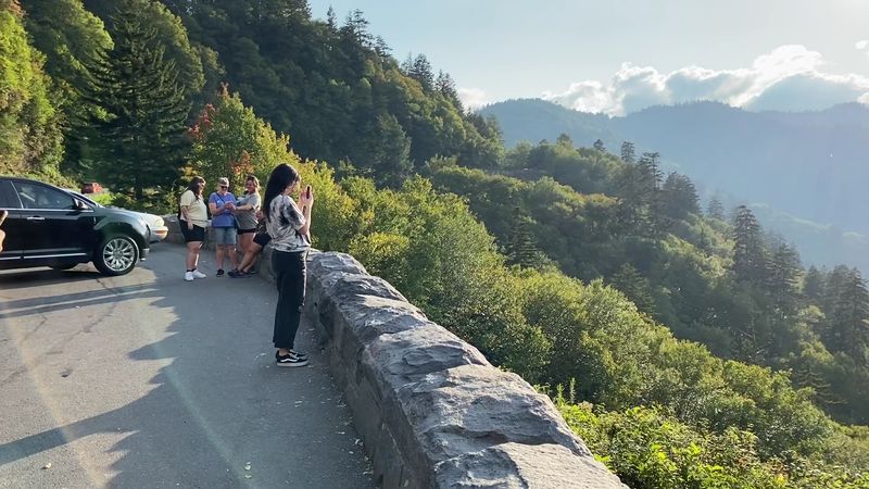 Ben Morton Overlook — Gatlinburg
