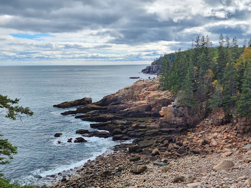 Best Times to Visit for the Most Memorable Stroll