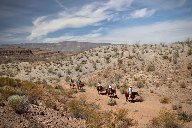 Big Bend & Lajitas Stables (Redford)