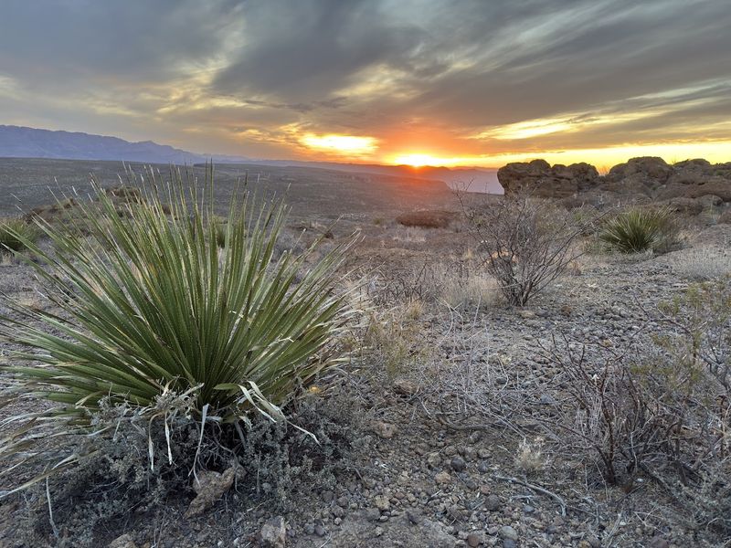 Big Bend Ranch State Park (Terlingua)