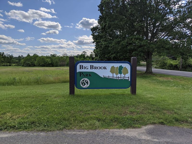 Big Brook Park fossil hunting, Marlboro