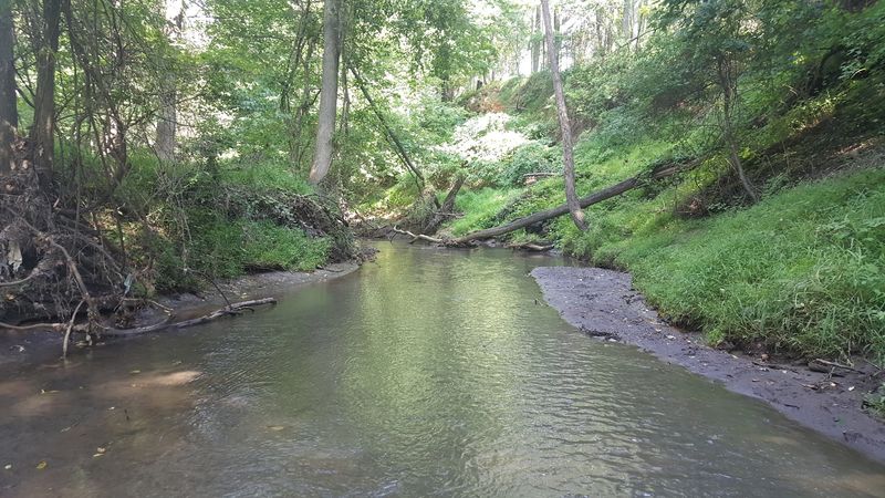 Big Brook Preserve