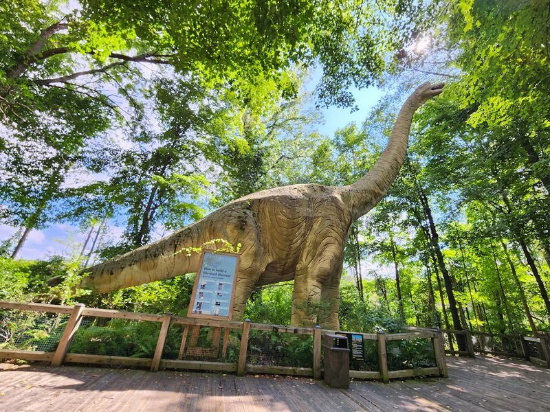 Binder Park Zoo | Battle Creek Binder Park Zoo | Battle Creek
