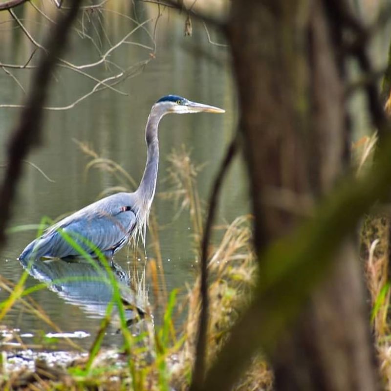 Birdwatching Is One of the Park's Best Hidden Highlights