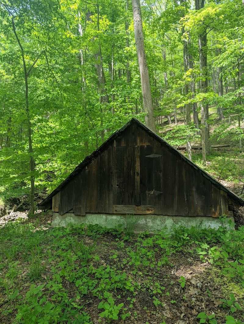 Black Forest Trail Primitive Campsites, Tiadaghton State Forest