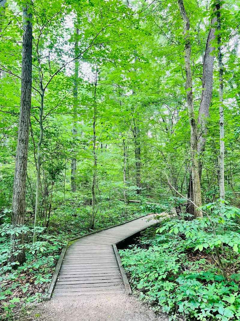 Blacklick Woods Beech Trail, Reynoldsburg, Ohio Blacklick Woods Beech Trail, Reynoldsburg, Ohio