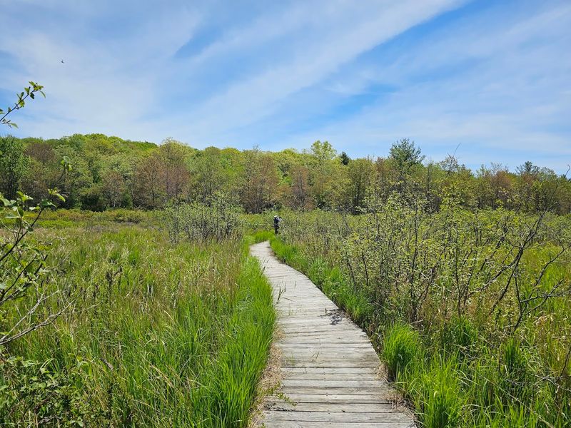 Boardwalks And Marsh Views Make Every Step Feel Scenic Boardwalks And Marsh Views Make Every Step Feel Scenic