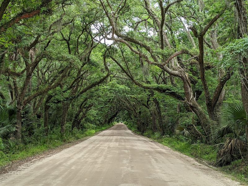 Botany Bay Heritage Preserve (Edisto Island)