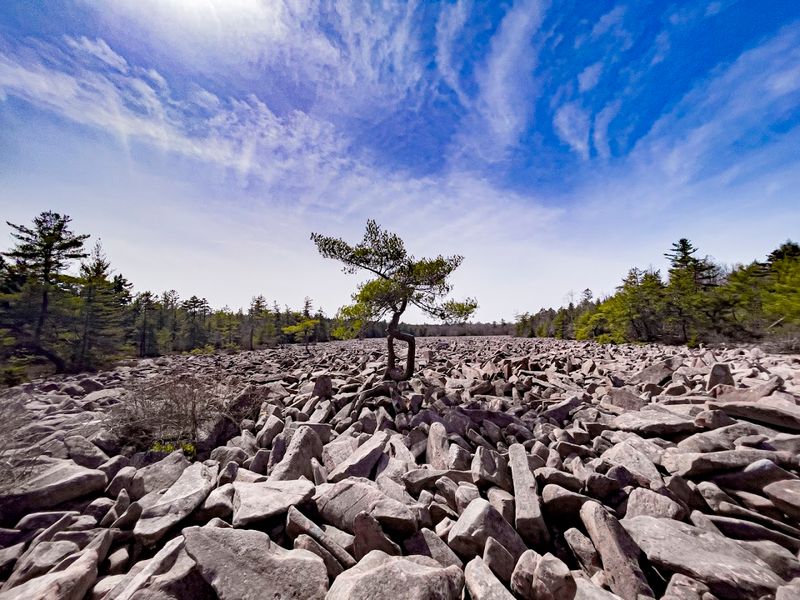 Boulder Field at Hickory Run State Park