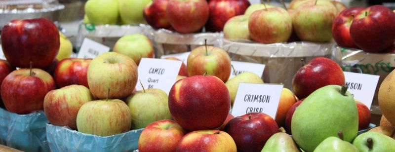 Brecknock Orchard