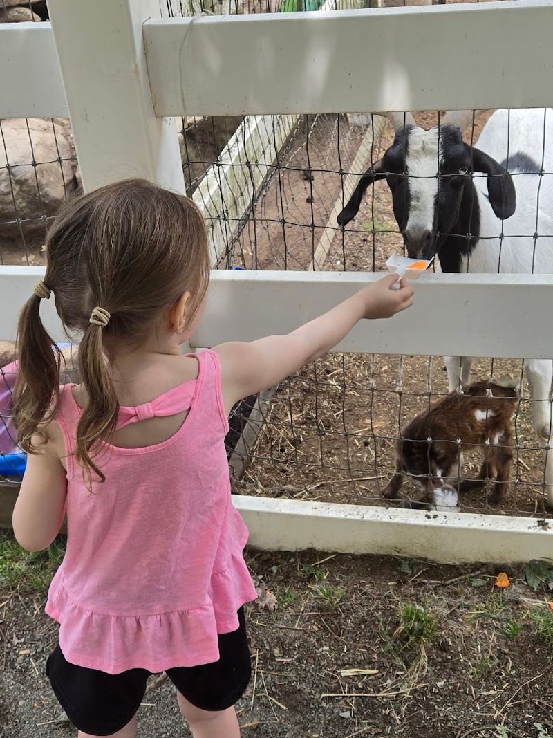 Brookhollow’s Barnyard in Boonton