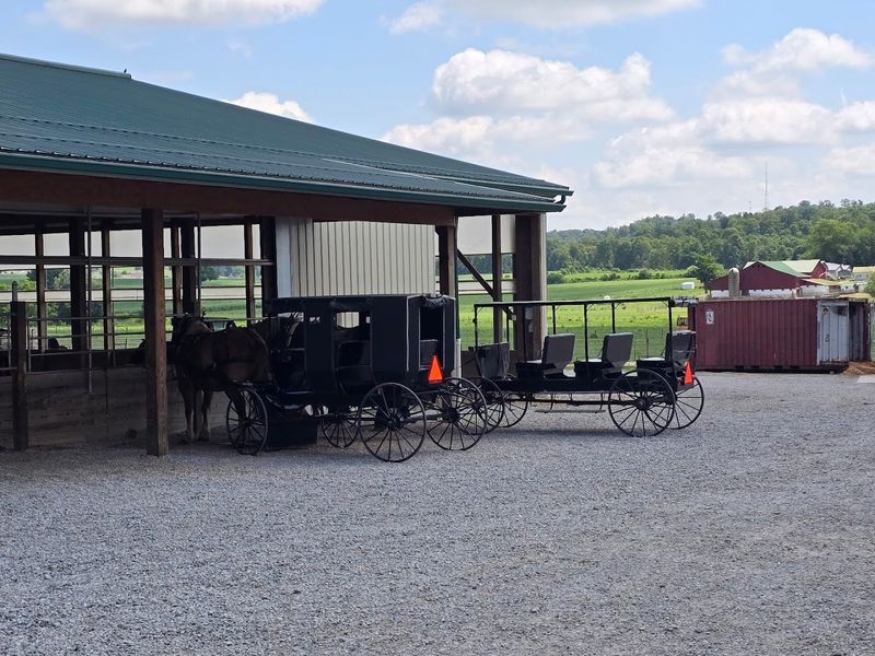 Buggy rides and seasonal fun worth planning around