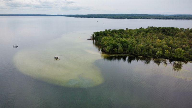 Burt Lake