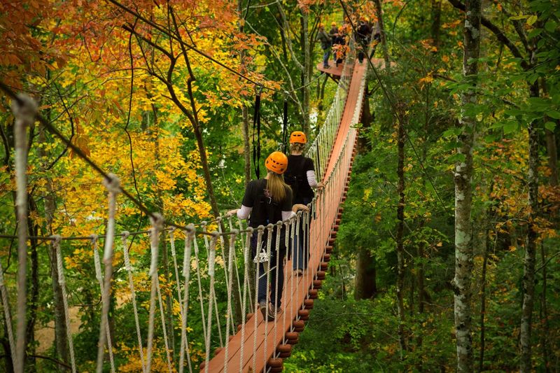 CLIMB Works Smoky Mountains — Gatlinburg CLIMB Works Smoky Mountains — Gatlinburg