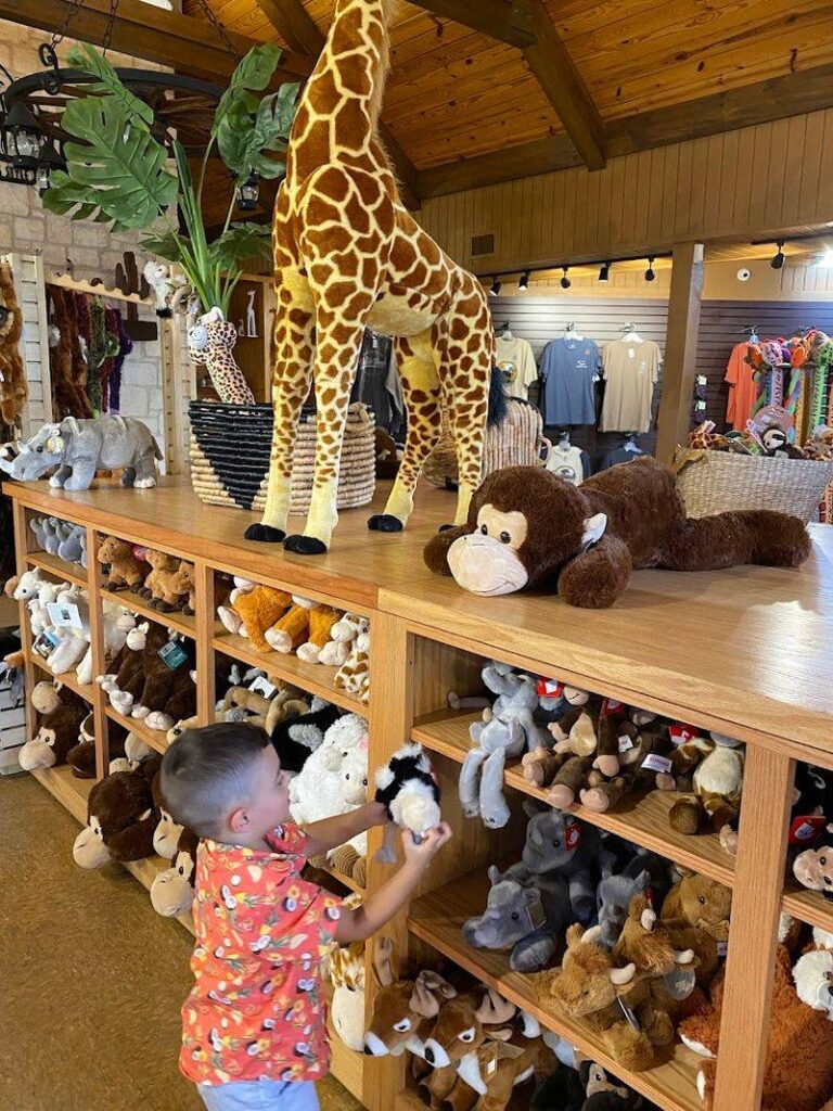 The Texas Drive-Through Safari Park Animal Lovers Can't Stop Visiting