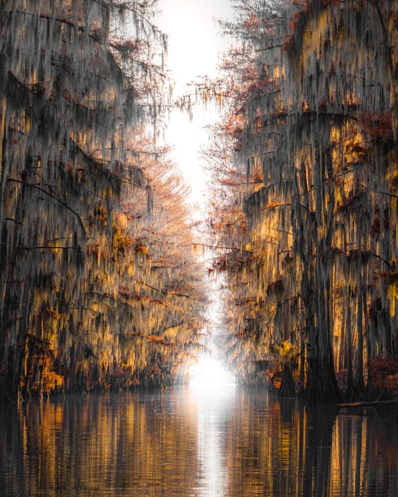 Caddo Lake Caddo Lake