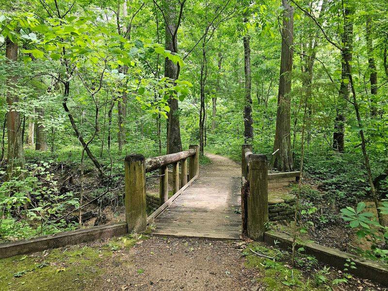 Caddo Lake State Park (Karnack)