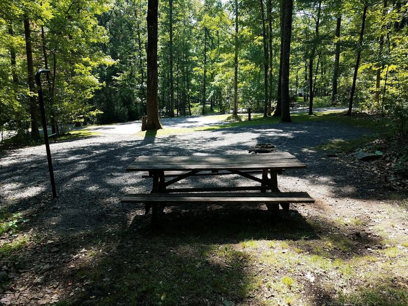 Camping Feels Spacious, Quiet, And Surprisingly Comfortable Camping Feels Spacious, Quiet, And Surprisingly Comfortable