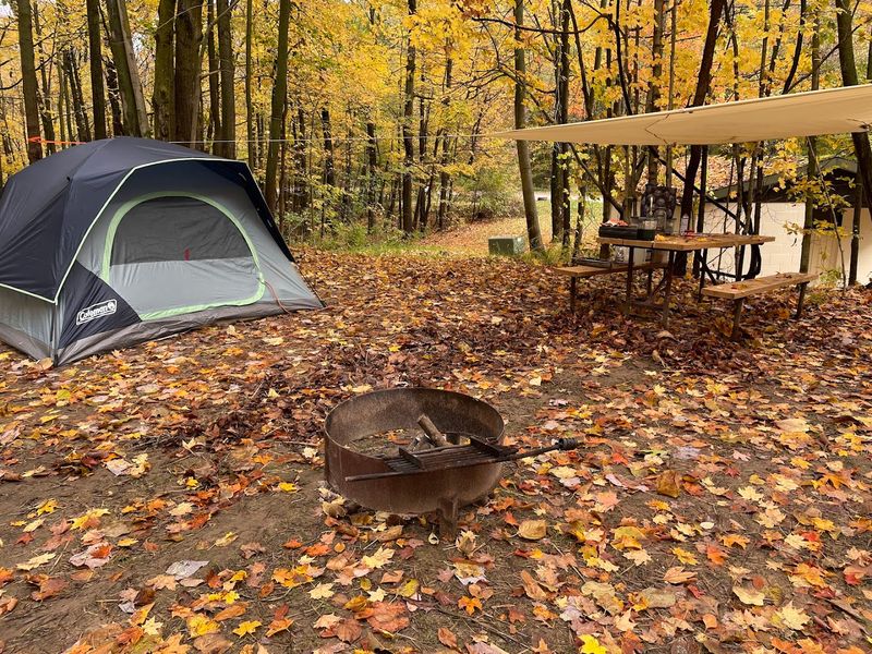 Camping Here Feels Surprisingly Comfortable