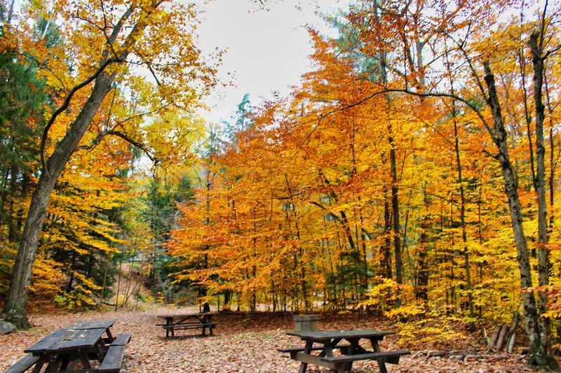 Camping feels simple in the best possible way Camping feels simple in the best possible way