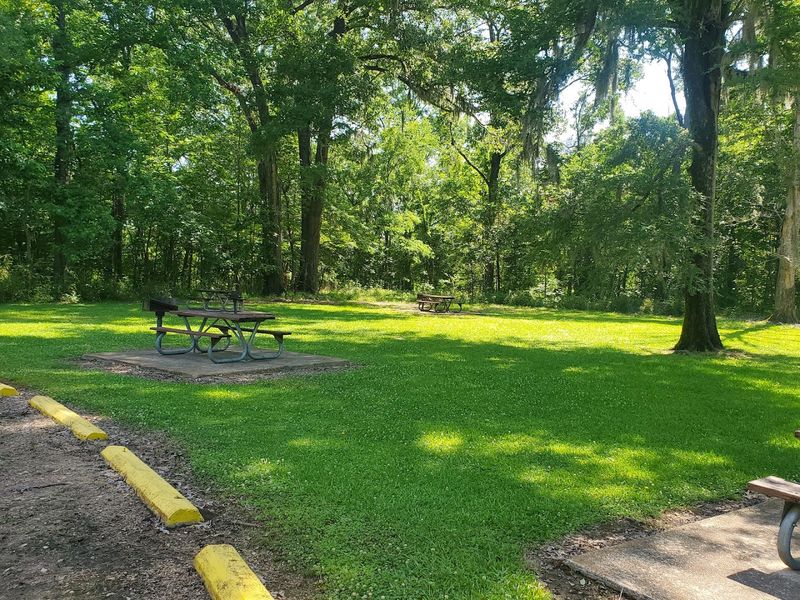 Camping here feels peaceful, spacious, and family friendly