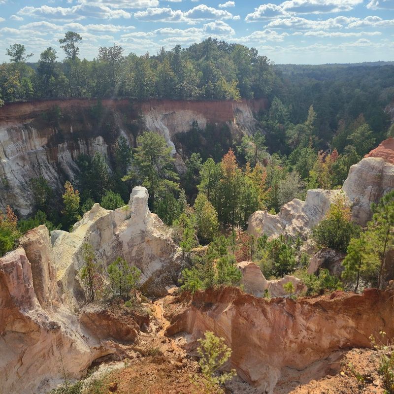 Canyon Loop Trail (Lumpkin)
