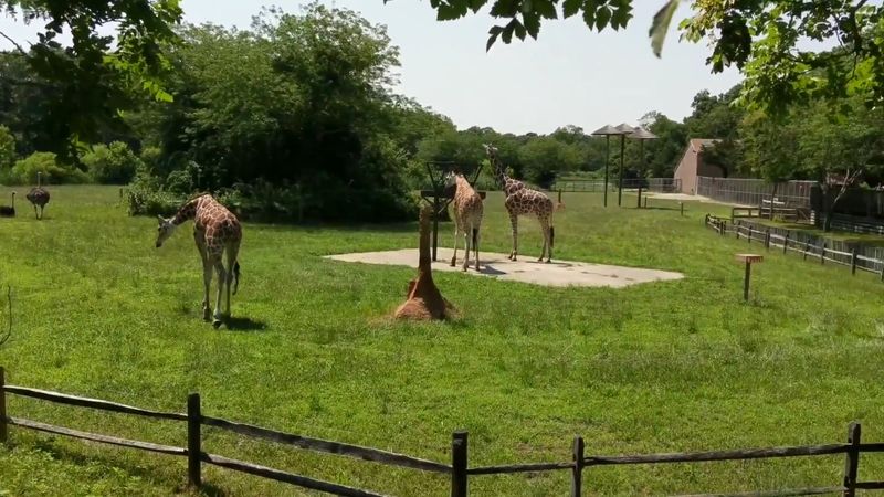 Cape May County Park & Zoo - Cape May Court House