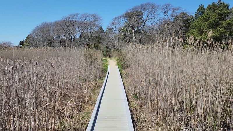 Cape May Point State Park Duck Pond Trail