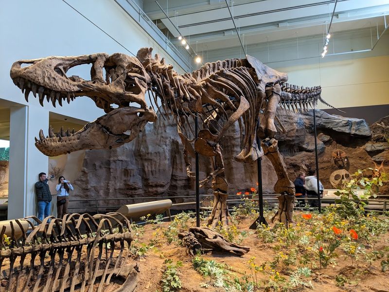 Carnegie Museum of Natural History, Pittsburgh