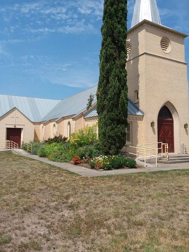 Castroville Poppies and Seasonal Blooms