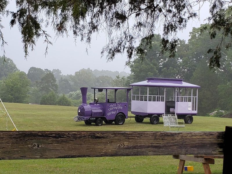Catch One of the Farm’s Popular Festivals
