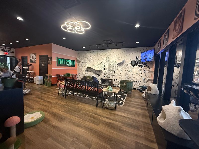 Catfeine Cat Cafe — Murfreesboro
