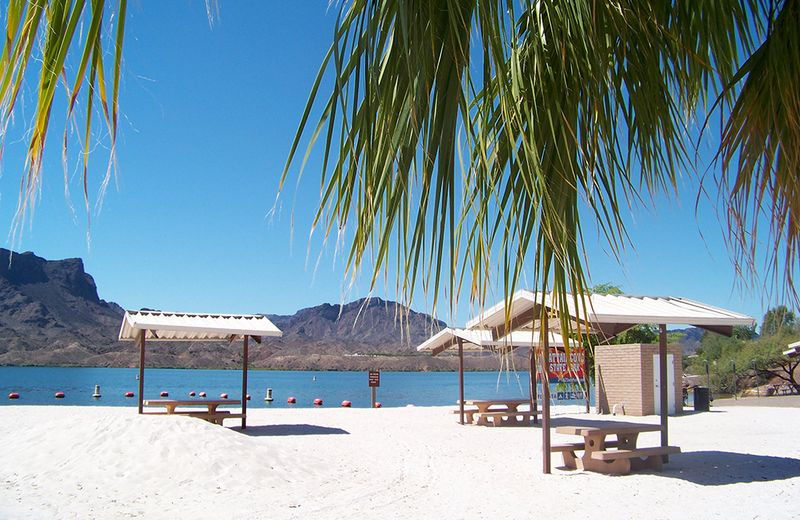 Cattail Cove State Park Campground, Lake Havasu City Area Cattail Cove State Park Campground, Lake Havasu City Area