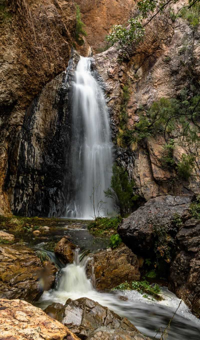 Cattail Falls (Big Bend National Park) Cattail Falls (Big Bend National Park)