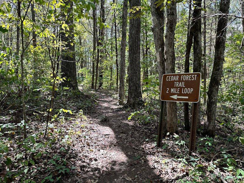 Cedars of Lebanon State Park — Lebanon