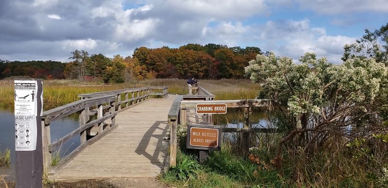 Cheesequake Green Trail - Cheesequake State Park