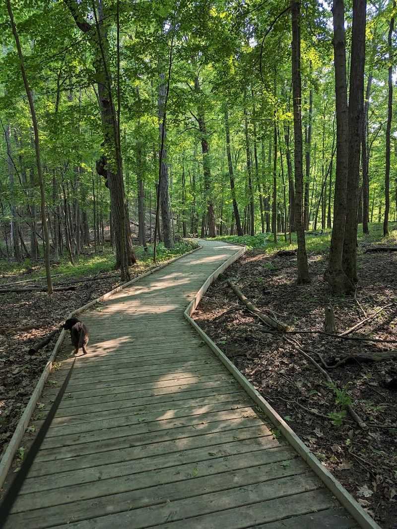 Cherry Hill Nature Preserve — Superior Township / Ann Arbor area
