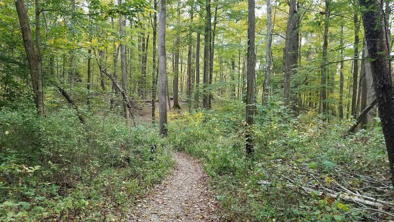 Cincinnati Nature Center Rowe Woods Trails, Milford, Ohio Cincinnati Nature Center Rowe Woods Trails, Milford, Ohio