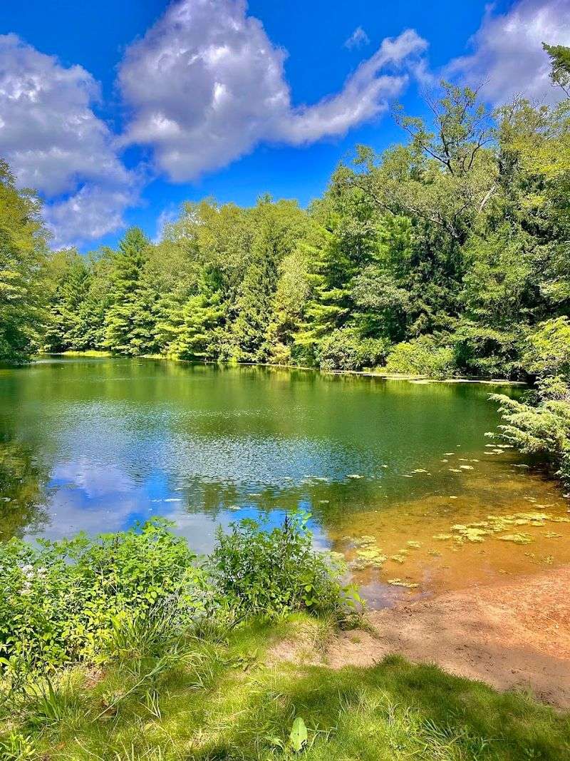 Clear Springs Nature Preserve — Montague