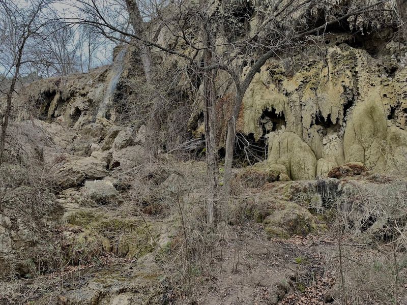 Colorado Bend State Park Caves (Bend)