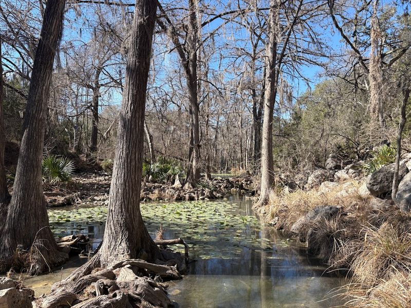 Combine with Guadalupe River State Park Combine with Guadalupe River State Park