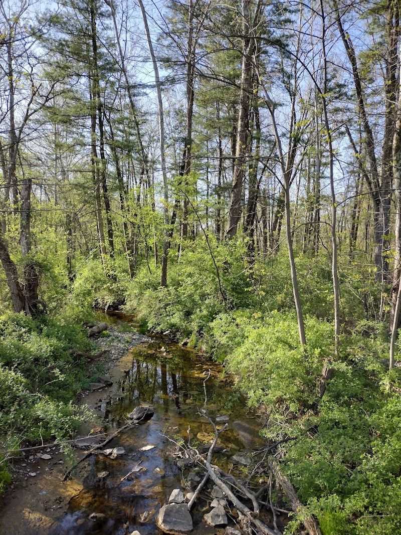 Conewago Recreation Trail