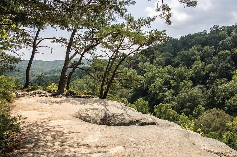 Conkles Hollow State Nature Preserve (Rockbridge)