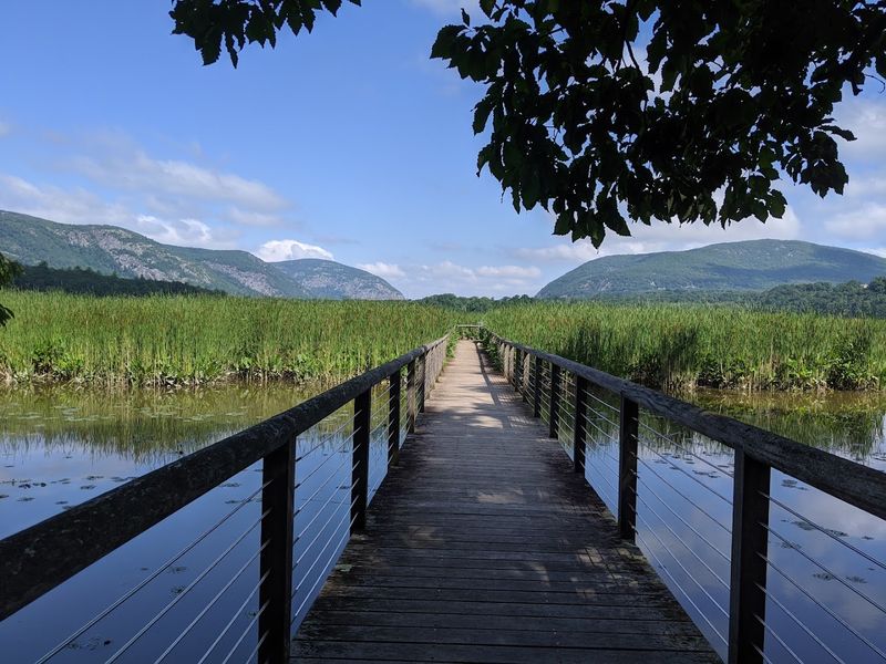 Constitution Marsh Audubon Center And Sanctuary