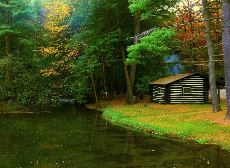Cook Forest State Park Cabins Cook Forest State Park Cabins
