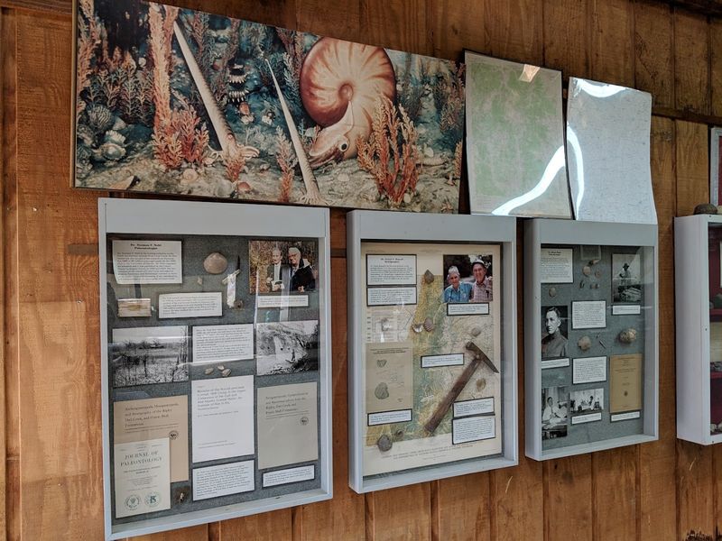Coon Creek Science Center — Adamsville